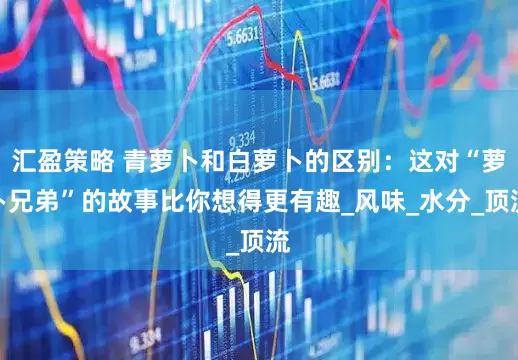 汇盈策略 青萝卜和白萝卜的区别：这对“萝卜兄弟”的故事比你想得更有趣_风味_水分_顶流