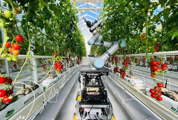 汇利资本 AI育种成果密集涌现，躬身入局者为何都说“太难了！”