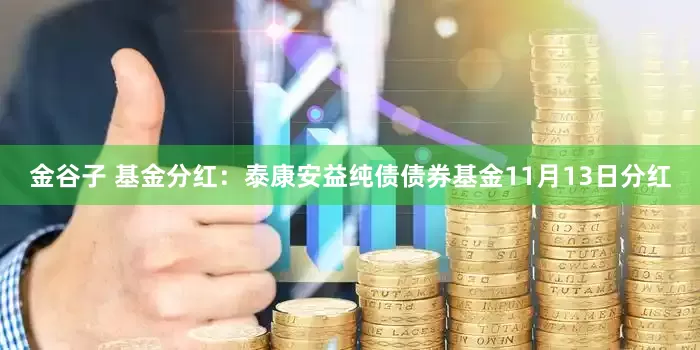 金谷子 基金分红：泰康安益纯债债券基金11月13日分红
