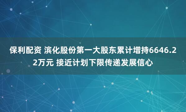 保利配资 滨化股份第一大股东累计增持6646.22万元 接近计划下限传递发展信心